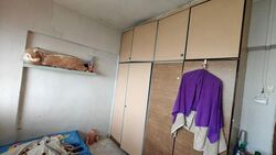 Blk 559 Jurong West Street 42 (Jurong West), HDB Executive #547395261